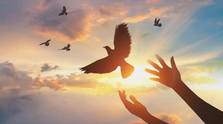 ������Ȩ������